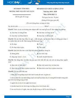 Đề KSCL môn Sinh học lớp 11 năm 2019-2020 - Trường THPT Nguyễn Viết Xuân lần 2 có đáp án