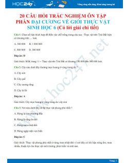 20 Câu hỏi trắc nghiệm ôn tập phần Đại cương về giới thực vật Sinh học 6 (Có lời giải chi tiết)