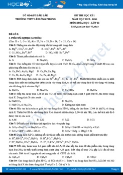 Đề thi HK1 có đáp án môn Hóa học 11 năm 2019-2020 Trường THPT Lê Hồng Phong