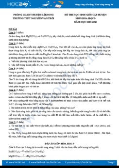 Đề thi và đáp án kỳ thi HSG môn Hóa học 9 năm 2019-2020 Trường THPT Nguyễn Văn Trỗi