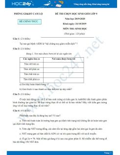 Đề thi HSG môn Sinh học lớp 9 năm 2019-2020 - Phòng GD&ĐT Cam Lộ có đáp án