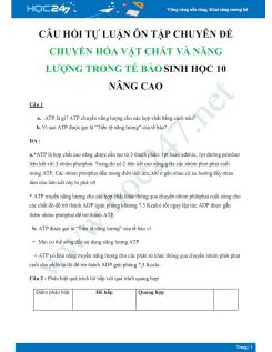 Câu hỏi tự luận ôn tập chuyên đề Chuyển hóa vật chất và năng lượng trong tế bào Sinh học 10 nâng cao  - Trường THPT Vĩnh Linh