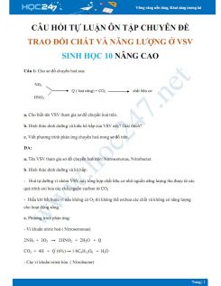 Câu hỏi tự luận ôn tập chuyên đề Trao đổi chất và năng lượng ở vi sinh vật Sinh học 10 nâng cao  - Trường THPT Vĩnh Linh