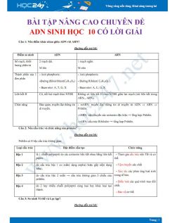 Bài tập nâng cao chuyên đề ADN Sinh học 10 có lời giải