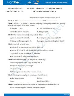 Đề KSCL môn Sinh học lớp 11 năm 2019-2020 - Trường THPT Yên Lạc lần 2 có đáp án