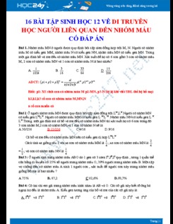 16 Bài tập Sinh học 12 về Di truyền học người Liên quan đến nhóm máu có đáp án