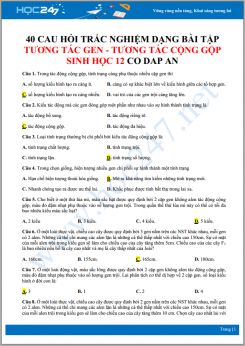 40 Câu hỏi trắc nghiệm dạng bài tập Tương tác gen - Tương tác cộng gộp Sinh học 12 có đáp án