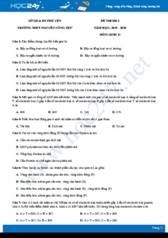 Đề thi HK1 môn Sinh lớp 12 năm 2019-2020 - Trường THPT Nguyễn Công Trứ có đáp án