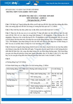 Đề kiểm tra HK1 môn Sinh học lớp 11 năm 2019-2020 - Trường THPT Năng khiếu TDTT huyện Bình Chánh có đáp án