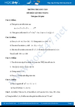 Đề khảo sát HSG môn Toán 6 năm 2019 Trường THCS Duy Tân