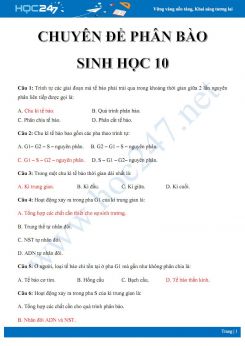 57 Bài tập trắc nghiệm ôn tập chuyên đề Phân bào Sinh học 10 có đáp án