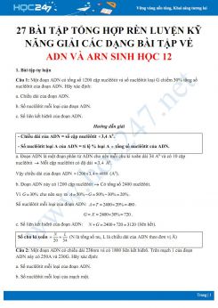 27 Bài tập tổng hợp rèn luyện kỹ năng giải các dạng bài tập về ADN và ARN Sinh học 12