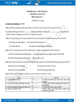 Đề kiểm tra 1 tiết HK2 năm 2019  môn Ngữ Văn 7 đề số 2