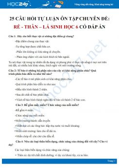 25 Câu hỏi tự luận ôn tập chuyên đề: Rễ - thân - lá Sinh học 6 có đáp án