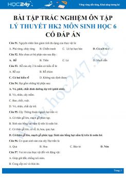 Bài tập trắc nghiệm ôn tập lý thuyết HK2 môn Sinh học 6 có đáp án