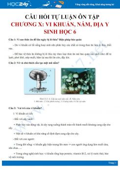 Câu hỏi tự luận ôn tập Chương X: Vi khuẩn, nấm, địa y Sinh học 6