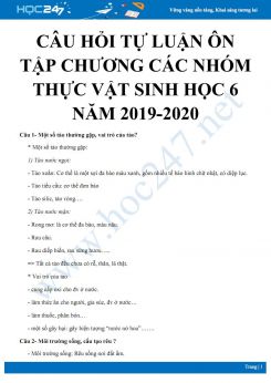 Câu hỏi tự luận ôn tập Chương: Các nhóm thực vật Sinh học 6 năm 2019-2020 - Trường THCS Lạc Vệ