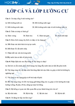 20 Câu hỏi trắc nghiệm ôn tập chủ đề lớp Cá và lớp Lưỡng cư Sinh học 7 năm 2019-2020 - Trường THCS Quang Trung có đáp án