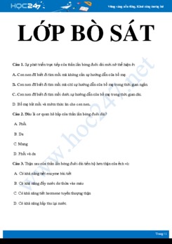 20 Câu hỏi trắc nghiệm ôn tập chủ đề lớp Bò sát Sinh học 7 năm 2019-2020 - Trường THCS Quang Trung có đáp án