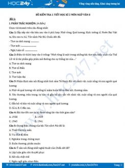 Bộ 2 đề kiểm tra 1 tiết HK2 môn Ngữ Văn 8