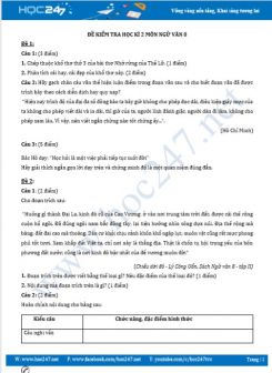 Bộ 2 đề kiểm tra HK2 môn Ngữ Văn 8