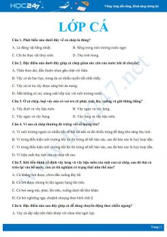 Bài tập trắc nghiệm ôn tập chủ đề lớp Cá - ngành Động vật có xương sống Sinh học 7 năm 2020 có đáp án