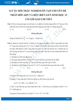 14 Câu hỏi trắc nghiệm ôn tập chuyên đề: Nhân đôi ADN và Đột biến gen Sinh học 12 có lời giải chi tiết