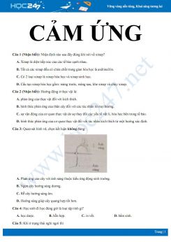 Bài tập trắc nghiệm ôn tập Chương Cảm ứng Sinh học 11 có lời giải chi tiết