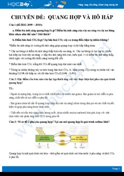 17 Câu hỏi tự luận ôn tập chuyên đề Quang hợp và hô hấp Sinh học 11 có lời giải chi tiết