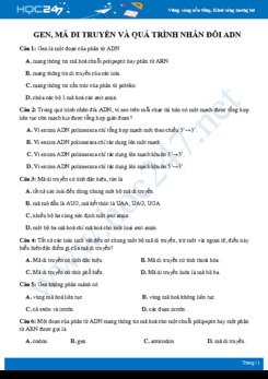 40 Câu hỏi trắc nghiệm ôn tập chuyên đề Gen, mã di truyền và quá trình nhân đôi ADN Sinh học 9