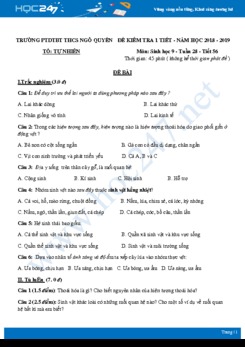 Đề kiểm tra 1 tiết HK2 môn Sinh học 9 năm 2019 - Trường PTDTBT THCS Ngô Quyền có đáp án