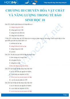 35 Bài tập trắc nghiệm ôn tập chương Chuyển hóa vật chất và năng lượng trong tế bào Sinh học 10 có đáp án