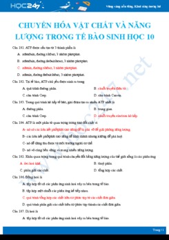 40 Câu hỏi trắc nghiệm ôn tập các vấn đề trong Chuyển hóa vật chất và năng lượng trong tế bào Sinh học 10 có đáp án