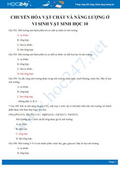 39 Câu hỏi trắc nghiệm ôn tập chương Chuyển hóa vật chất và năng lượng ở vi sinh vật Sinh học 10 có đáp án