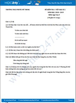 Đề kiểm tra 1 tiết HK2  năm 2019 môn Ngữ Văn (Phần Thơ) - Trường THCS Phước Mỹ Trung