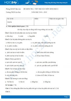 Đề kiểm tra 1 tiết HK2 môn Sinh học 6 năm 2018-2019 - Trường THCS Lộc Sơn có đáp án