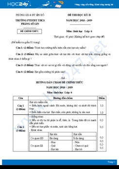 Đề thi HK2 môn Sinh học 6 năm 2018-2019 - Trường PTDTBT THCS Phăng Sô Lin có đáp án