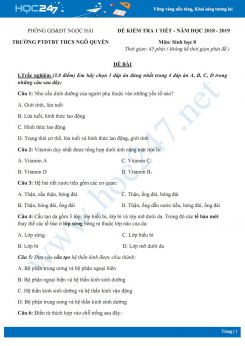 Đề kiểm tra 1 tiết HK2 môn Sinh học 8 năm 2018-2019 - Trường PTDTBT THCS Ngô Quyền có đáp án