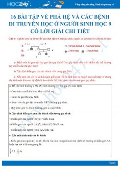 16 Bài tập về Phả hệ và các bệnh di truyền học ở người Sinh học 9 có lời giải chi tiết