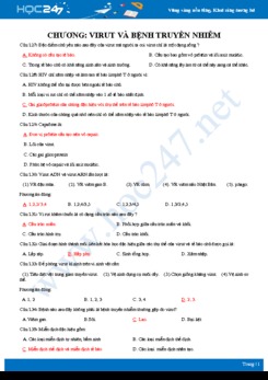 34 Bài tập trắc nghiệm ôn tập Chương Virut và bệnh truyền nhiễm Sinh học 10 có đáp án