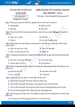 Đề kiểm tra HK2 môn Sinh học lớp 12 năm 2018-2019 - Sở GD&ĐT Quảng Nam có đáp án