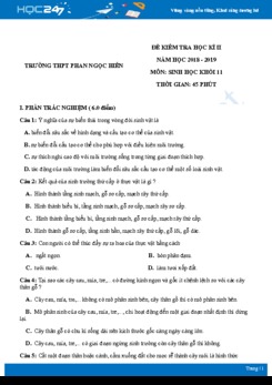 Đề thi HK2 môn Sinh học 11 năm 2018-2019 - Trường THPT Phan Ngọc Hiển có đáp án