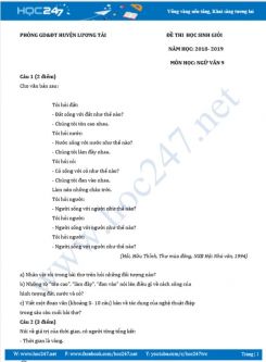 Đề thi HSG năm 2019 môn Ngữ Văn 9 - Phòng GD&ĐT huyện Lương Tài