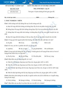 Đề kiểm tra HK2 môn Sinh học 10 năm 2018-2019 - Sở GD&ĐT Quảng Nam có đáp án