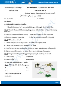 Đề kiểm tra HK2 môn Sinh học lớp 9 năm 2018-2019 - Sở GD&ĐT Quảng Nam có đáp án (2 đề)