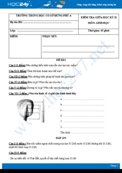 Đề kiểm tra giữa HK2 môn Sinh học 6 năm 2018-2019 - Trường THCS Hưng Phú A có đáp án