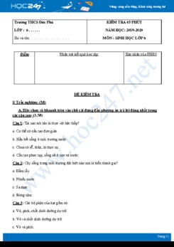Đề kiểm tra ôn tập giữa HK2 môn Sinh học 6 năm 2019-2020 - Trường THCS Đức Phú có đáp án