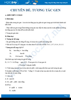 Lý thuyết ôn tập các vấn đề liên quan đến chuyên đề Tương tác gen Sinh học 12