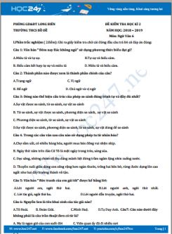 Đề kiểm tra HK2 năm 2019 môn Ngữ Văn 6 - Trường THCS Bồ Đề