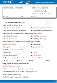 Đề kiểm tra ôn tập giữa HK2 môn Sinh học 10 năm 2019-2020 - Trường THPT A Nghĩa Hưng có đáp án